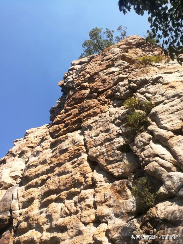 我在苞米地了要了村花（苞米地我把村花给药）