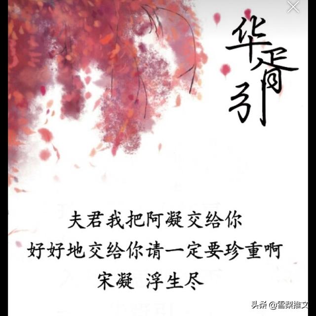 让人看了忍不住想要流泪的小说