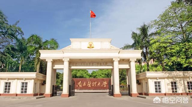 她是军区顶尖军医（她是军区的小公主）